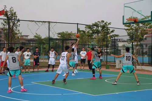 2017年 粵mec 新生杯籃球賽火熱開賽