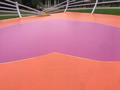 廣東從化市幼兒園硅pu地面生產(chǎn)廠家 環(huán)睿體育材料