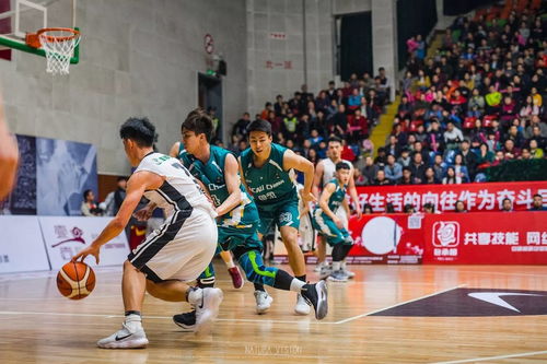 第二屆粵澳盃籃球賽