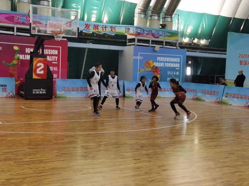 小籃球 大夢(mèng)想 巔峰對(duì)決 問(wèn)鼎省冠