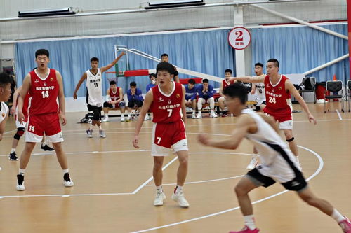 東北農業大學學生男子籃球隊在第二十五屆cubal中國大學生籃球聯賽中榮獲佳績