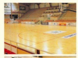 供應PVC運動地板高檔籃球場運動地膠沈陽弗蘭德廠家_建筑建材_世界工廠網中國產品信息庫