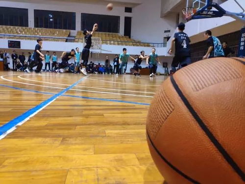 材料學院 籃球賽