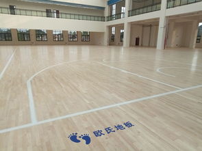籃球場運動木地板