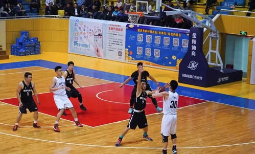 市長杯 籃球決賽, 籃 不住你們的風采