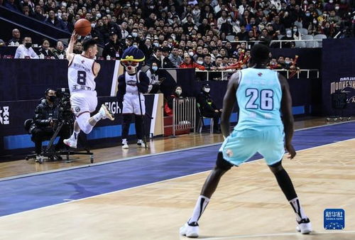 CBA常規賽 南京同曦宙光不敵青島國信水產，青島全面壓制取勝